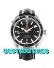 Omega Seamaster Planet Ocean 215.33.44.21.01.001 - 44 MM