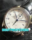 IWC Replica Portugieser Chrono IW390403 - 42 MM